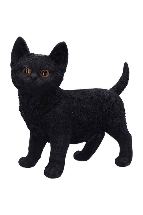 Charmed Companion