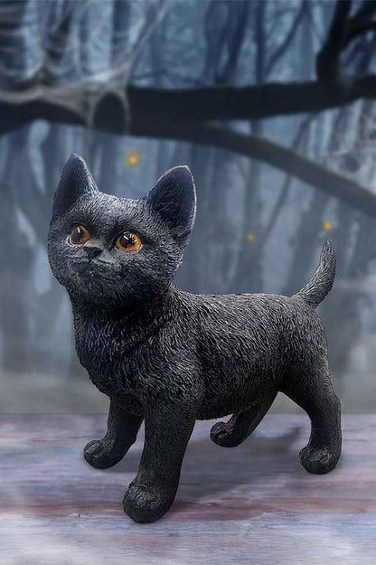 Charmed Companion