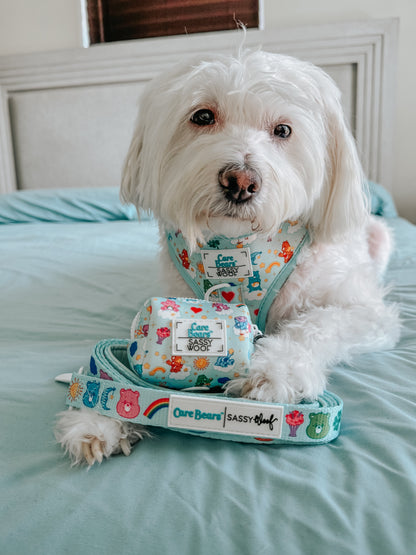 Dog Two Piece Bundle - Care Bears™ Care-a-Lot