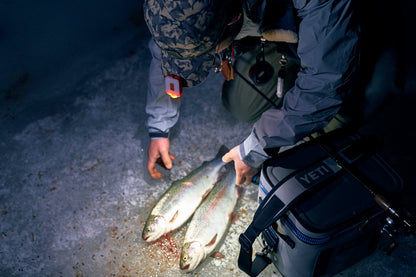 CLAYMORE Capon 40B Cap Light