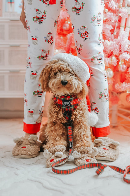 Dog Four Piece Bundle - Deck the Paws