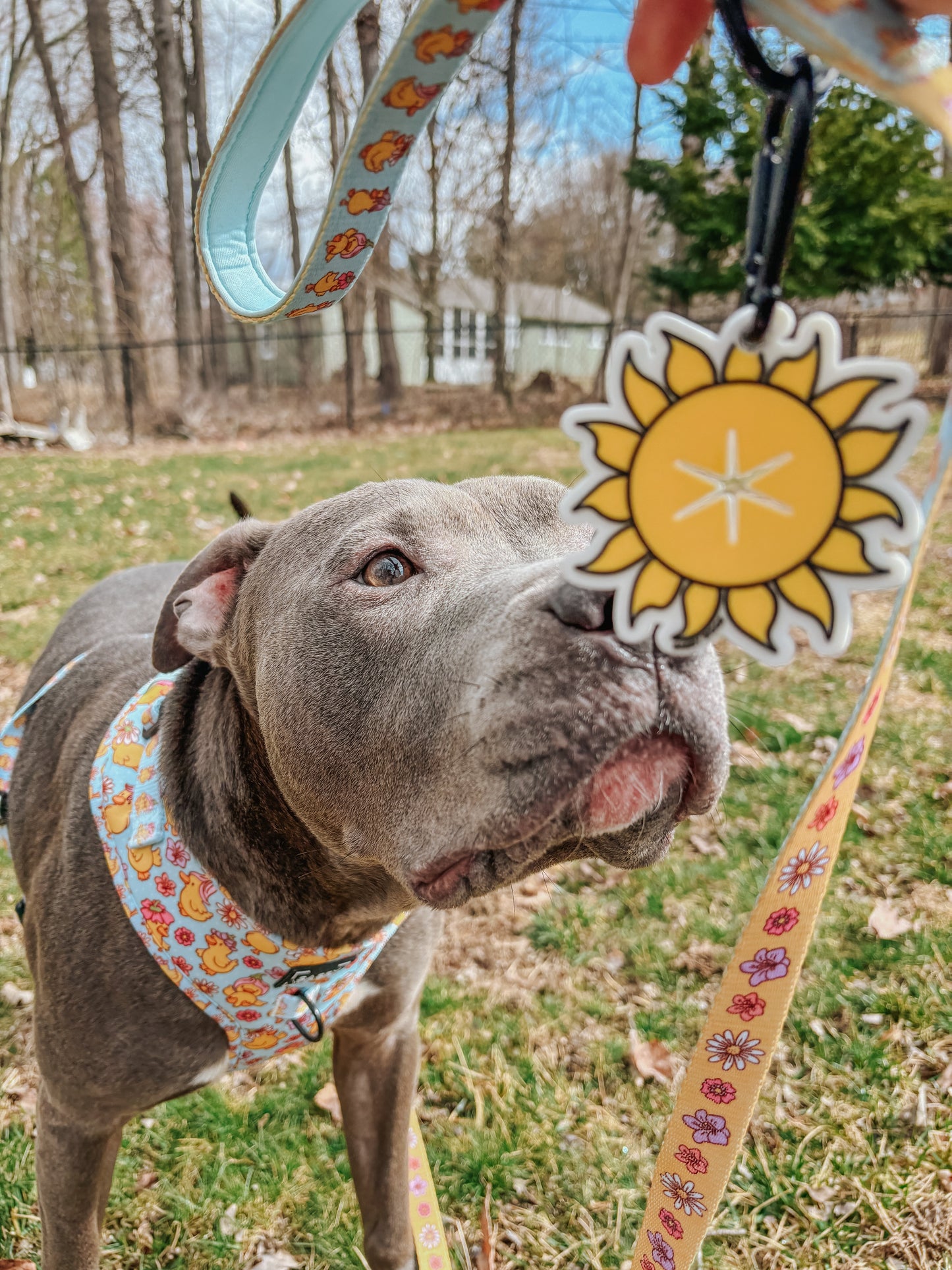 Potty Pal - Sun