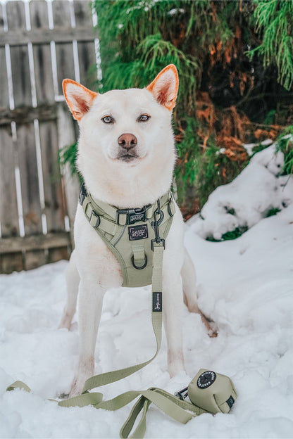 Dog Two Piece Bundle - Matcha