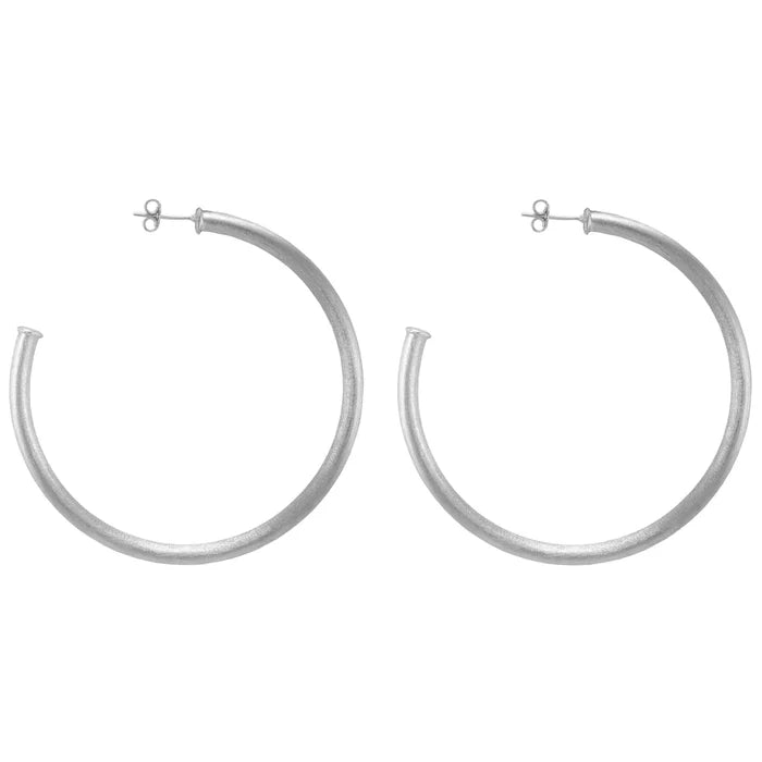 Everybody's Favorite Hoops (Silver)