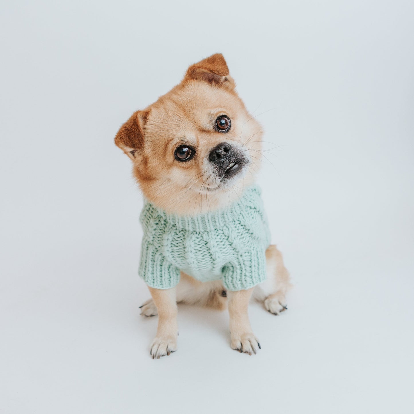 Pet Cable Knit Sweater - Mint