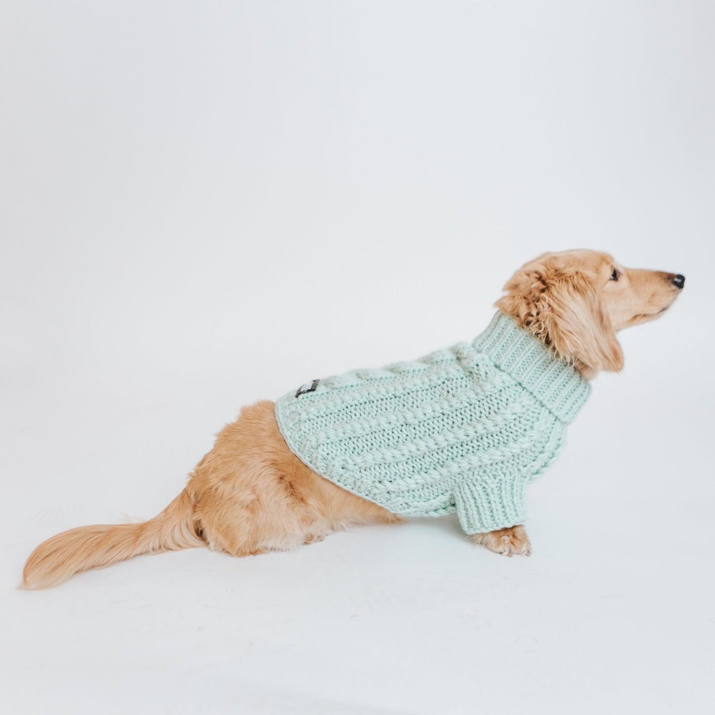 Pet Cable Knit Sweater - Mint
