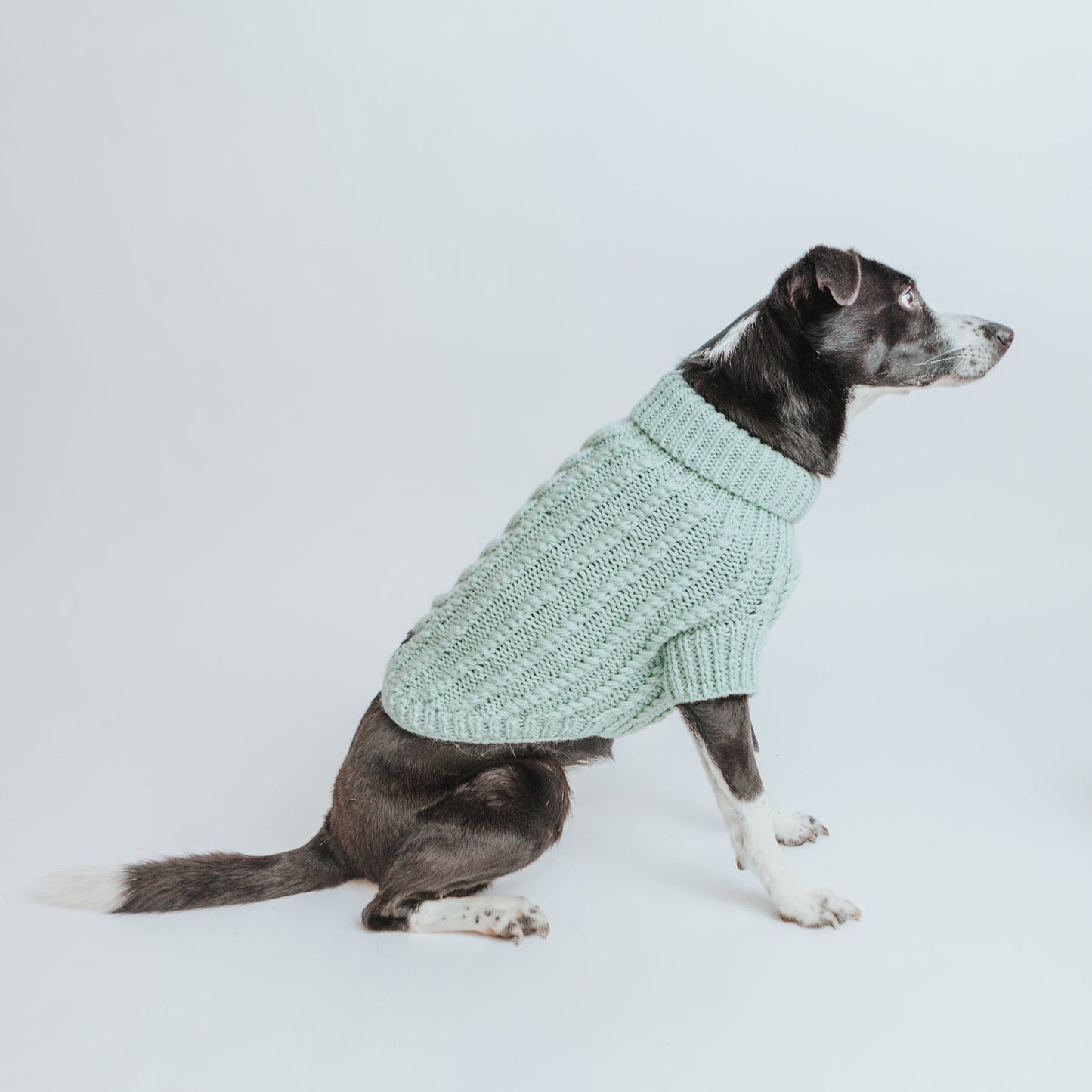 Pet Cable Knit Sweater - Mint