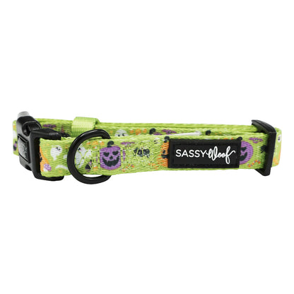 Dog Collar - Haunt Mess