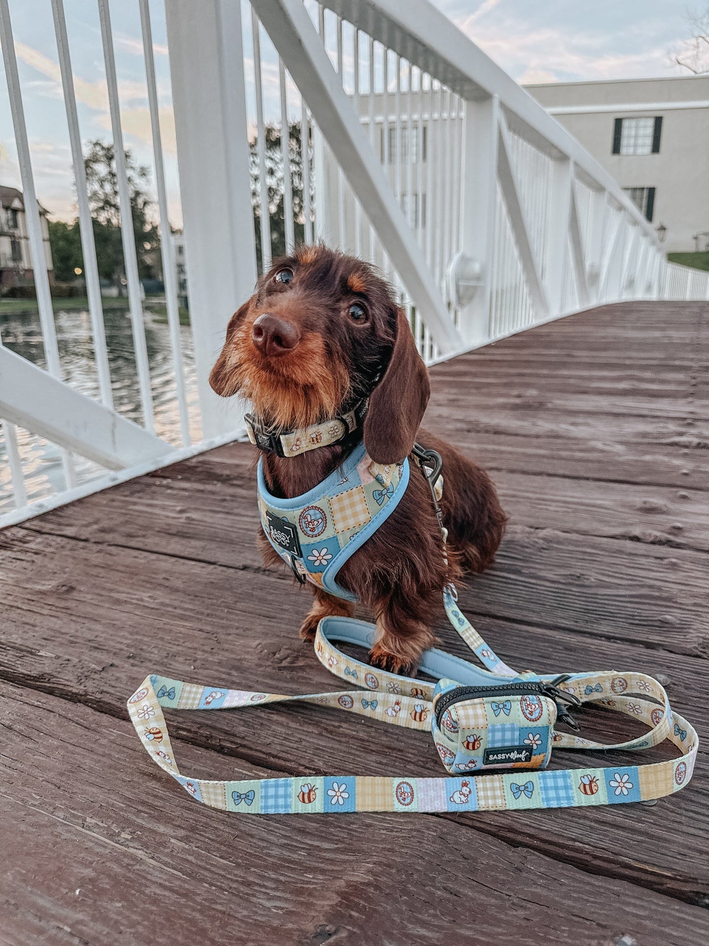 Dog Three Piece Bundle - Patch Perfect