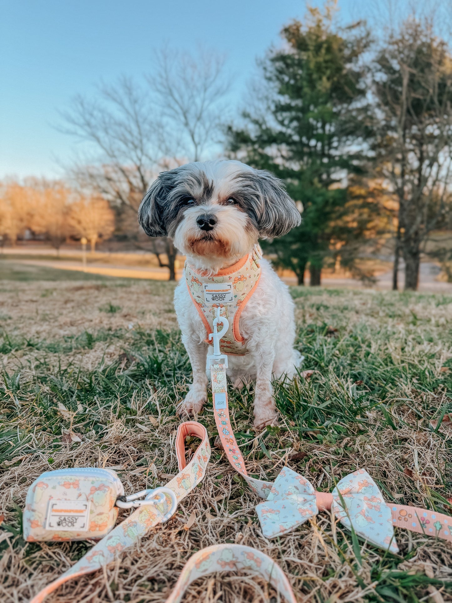 Dog Two Piece Bundle - Pompompurin™