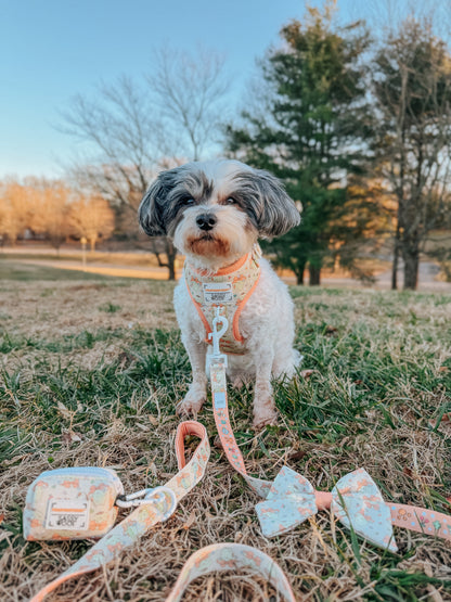 Dog Waste Bag Holder - Pompompurin™