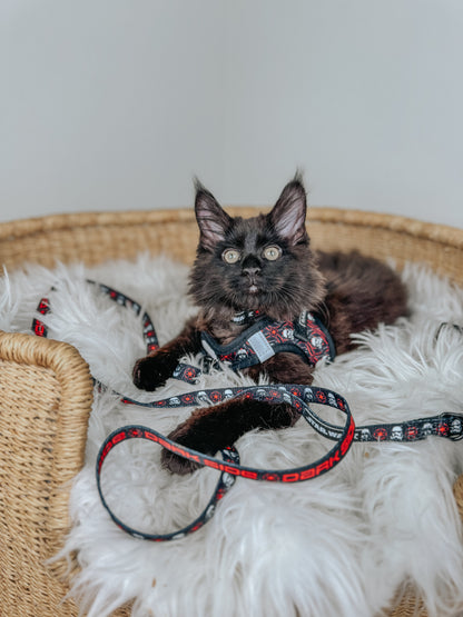 Cat Leash - STAR WARS™ The Dark Side