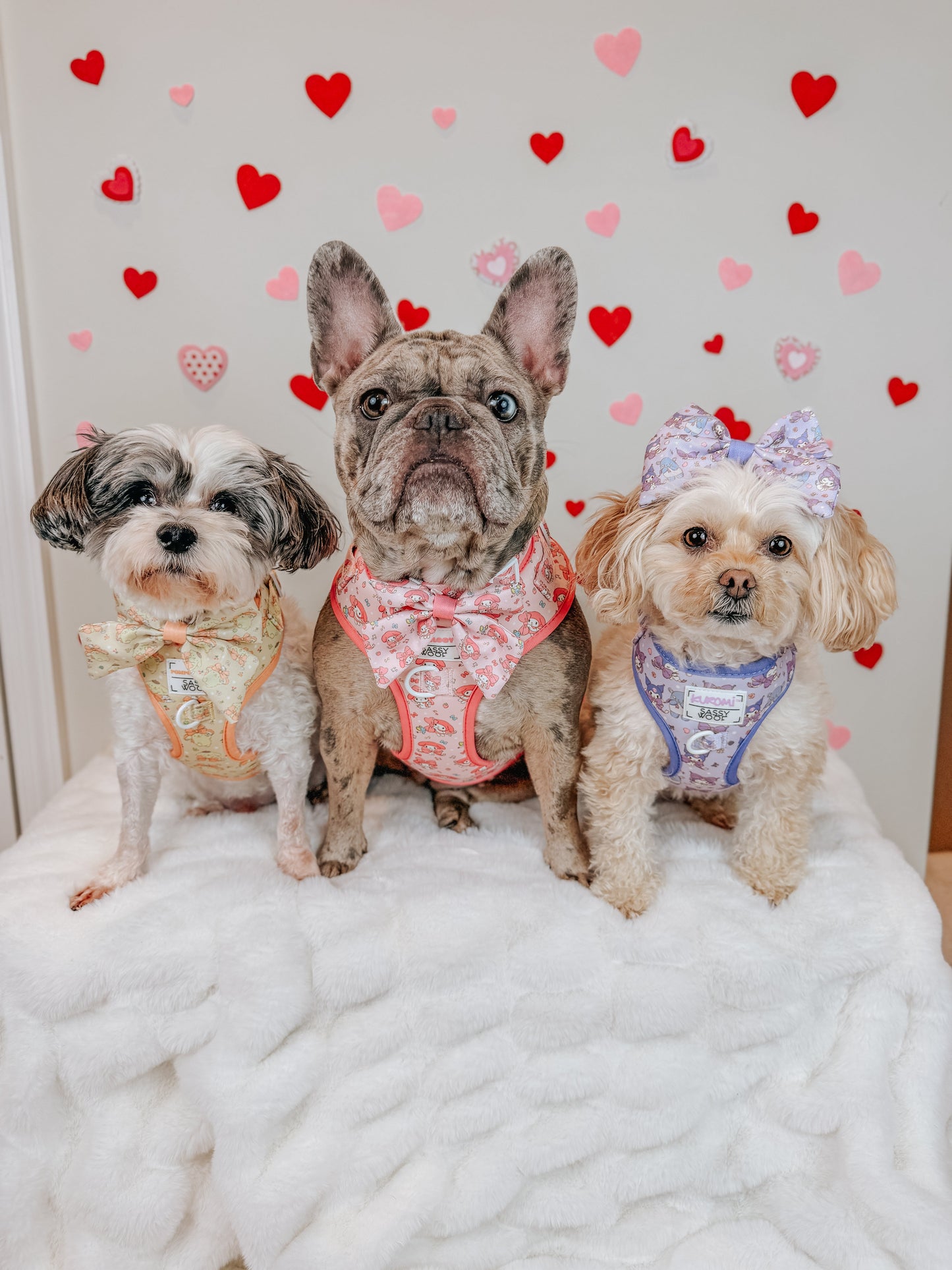 Dog Two Piece Bundle - My Melody™