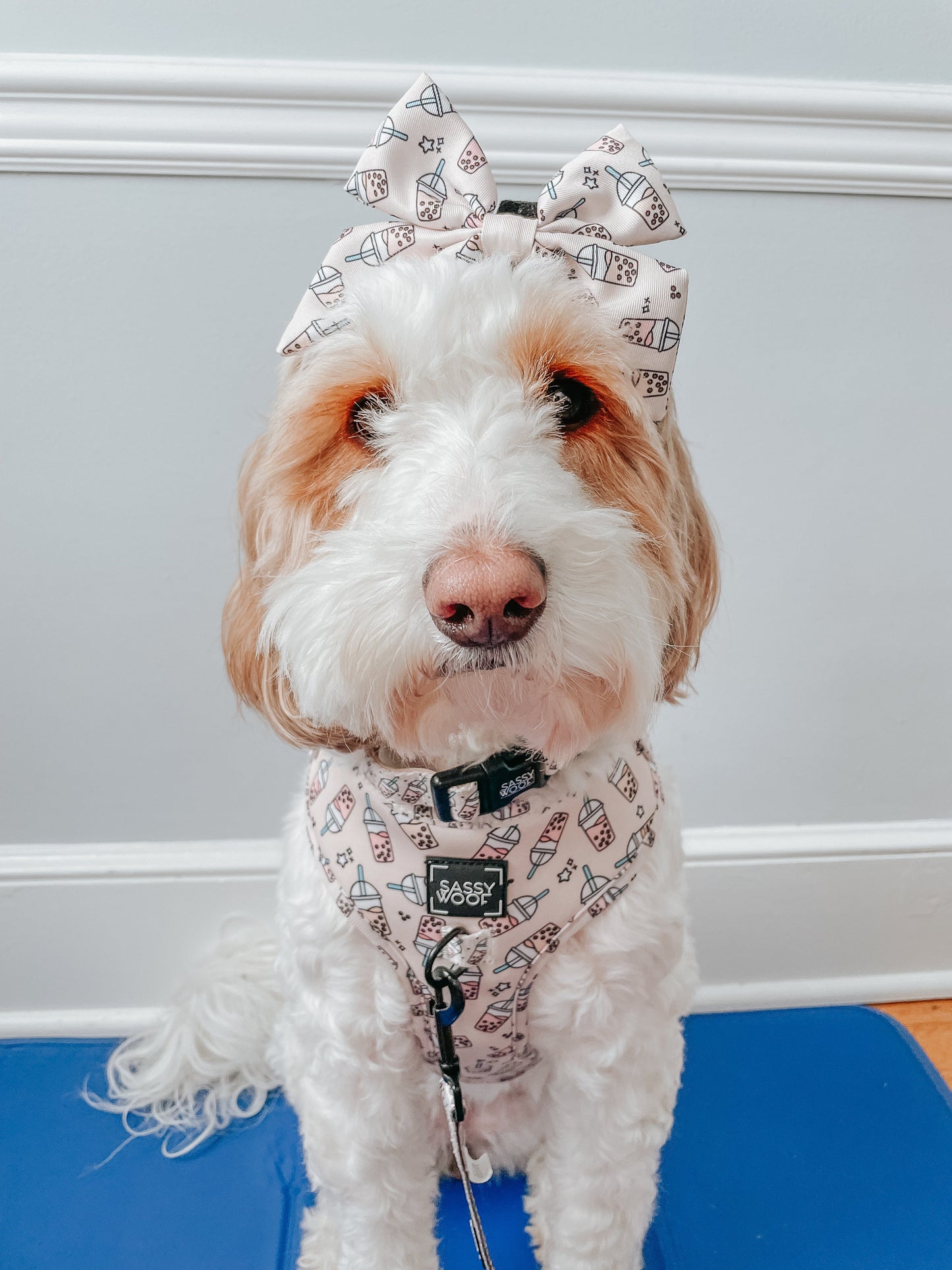Dog Sailor Bow - Spill the Tea