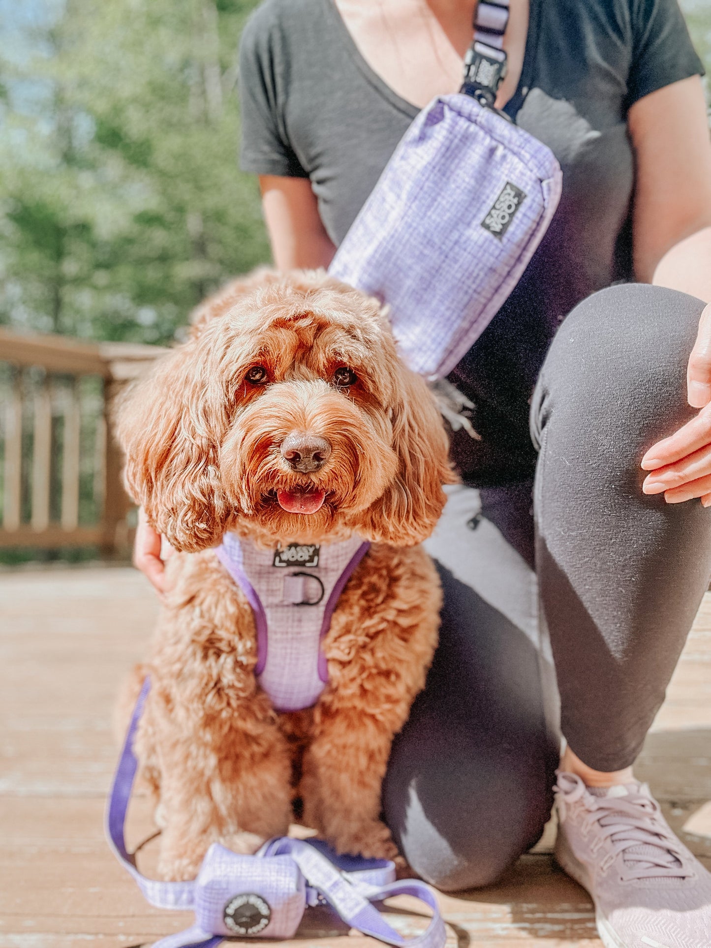 Aurora Woof Pack (Bag Only)
