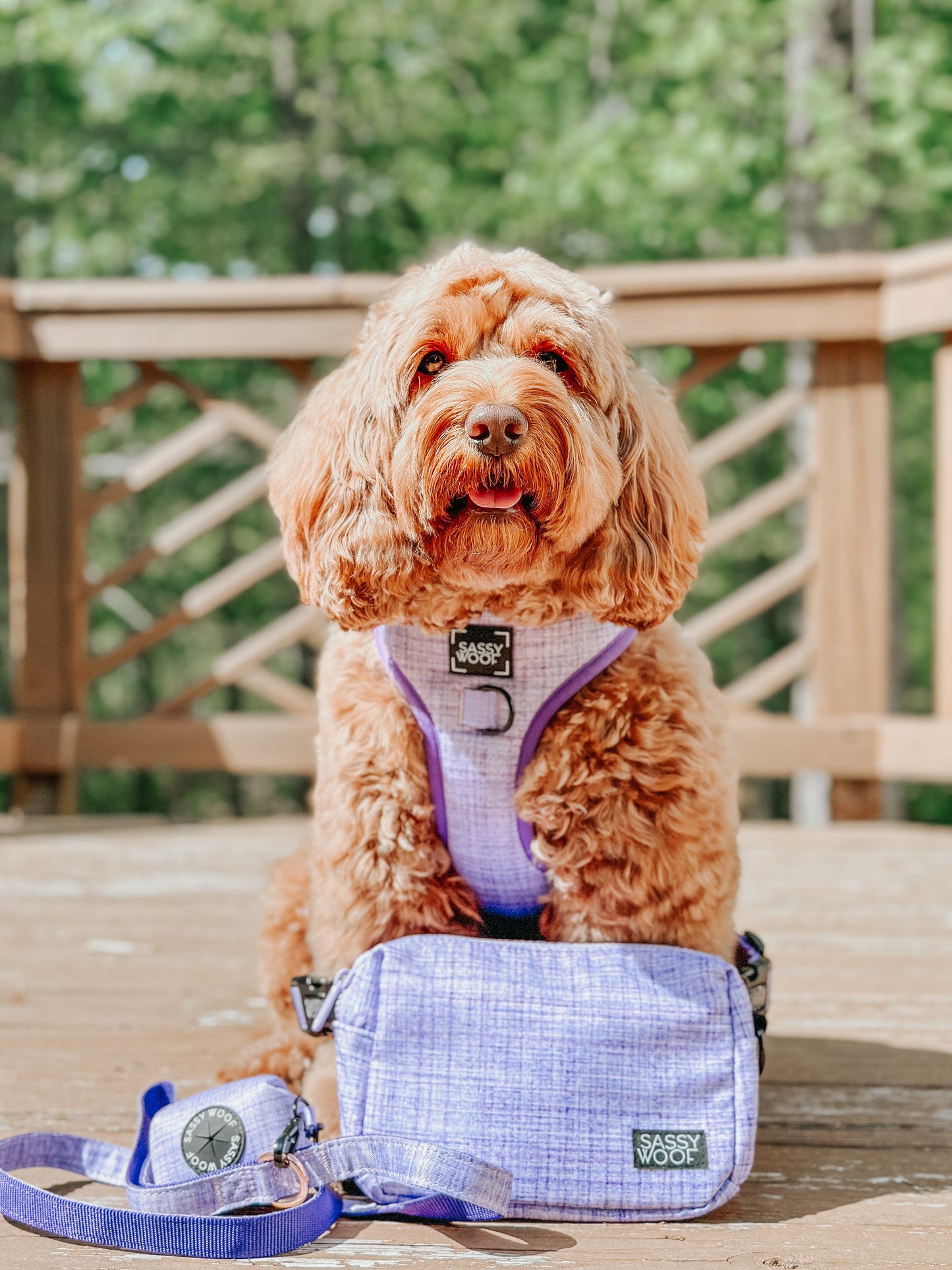 Aurora Woof Pack (Bag Only)