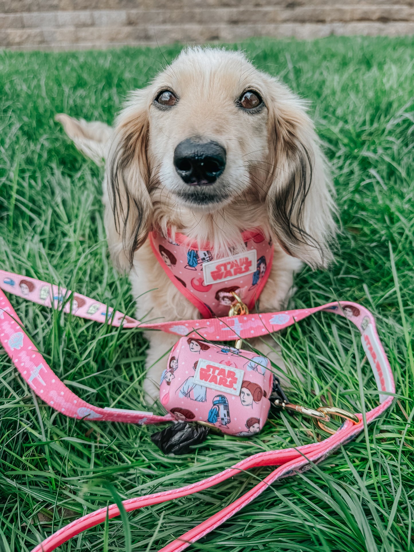 Dog Waste Bag Holder - STAR WARS™ Princess Leia