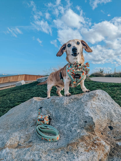 Dog Adjustable Harness - Feeling Vine