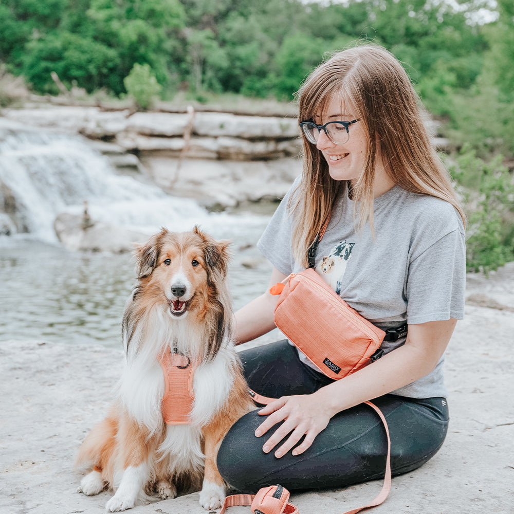 Apple Cider Woof Pack (Bag Only)