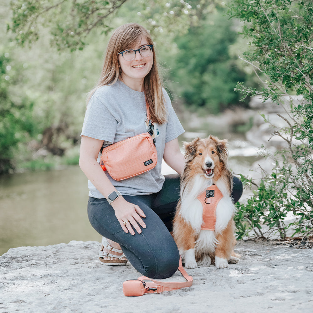 Apple Cider Woof Pack (Bag Only)