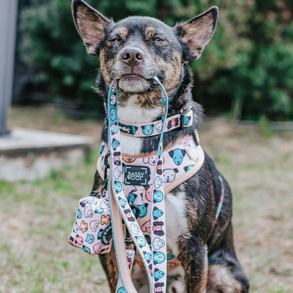 Dog Leash - Mixed With Love