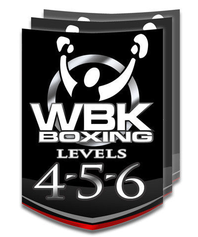 Level 4/5/6, Round 3, January-February 2015