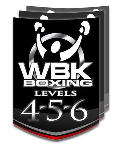 Level 4/5/6, Round 4, March-April 2015