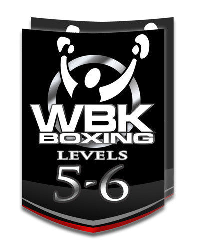 Level 5/6, Round 5, May 2014