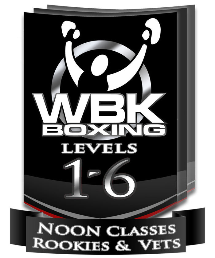 Levels 1-6 Lunchtime Classes, Summer Session, July-August 2014