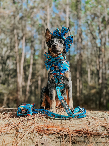 Dog Sailor Bow - Hot Wheels™