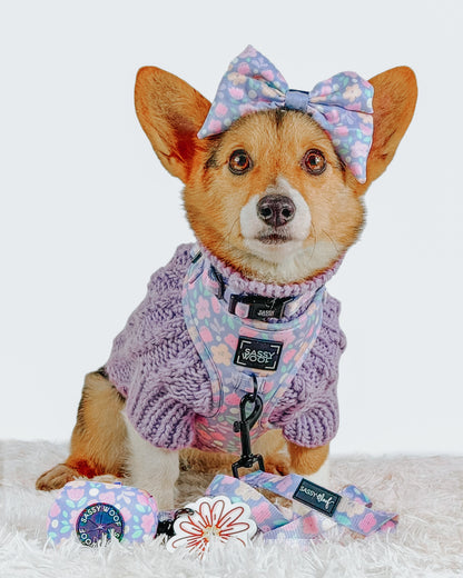 Dog Four Piece Bundle - Fleur de Sass