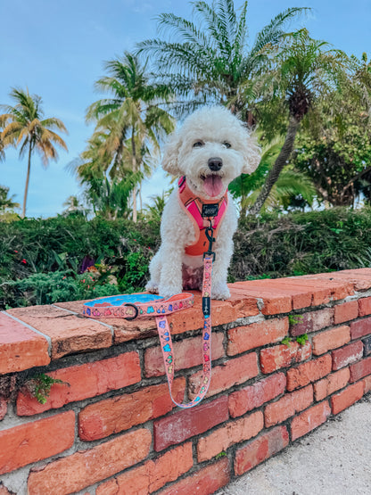 Dog Leash - Beach Bod