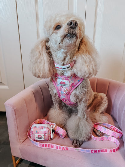 Dog Waste Bag Holder - Care Bears™ Cheer Bear