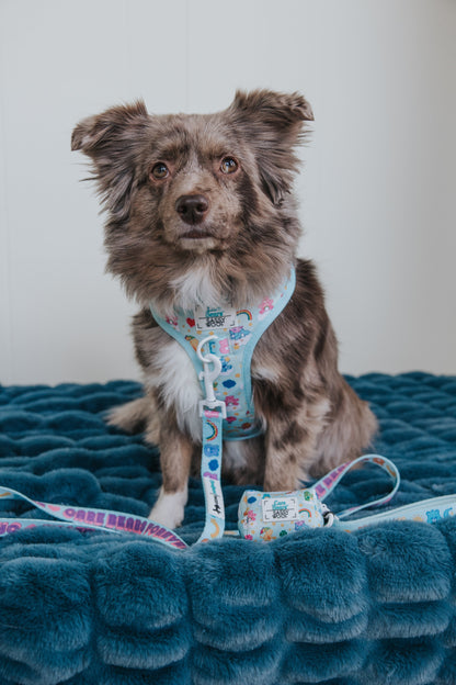 Dog Two Piece Bundle - Care Bears™ Care-a-Lot