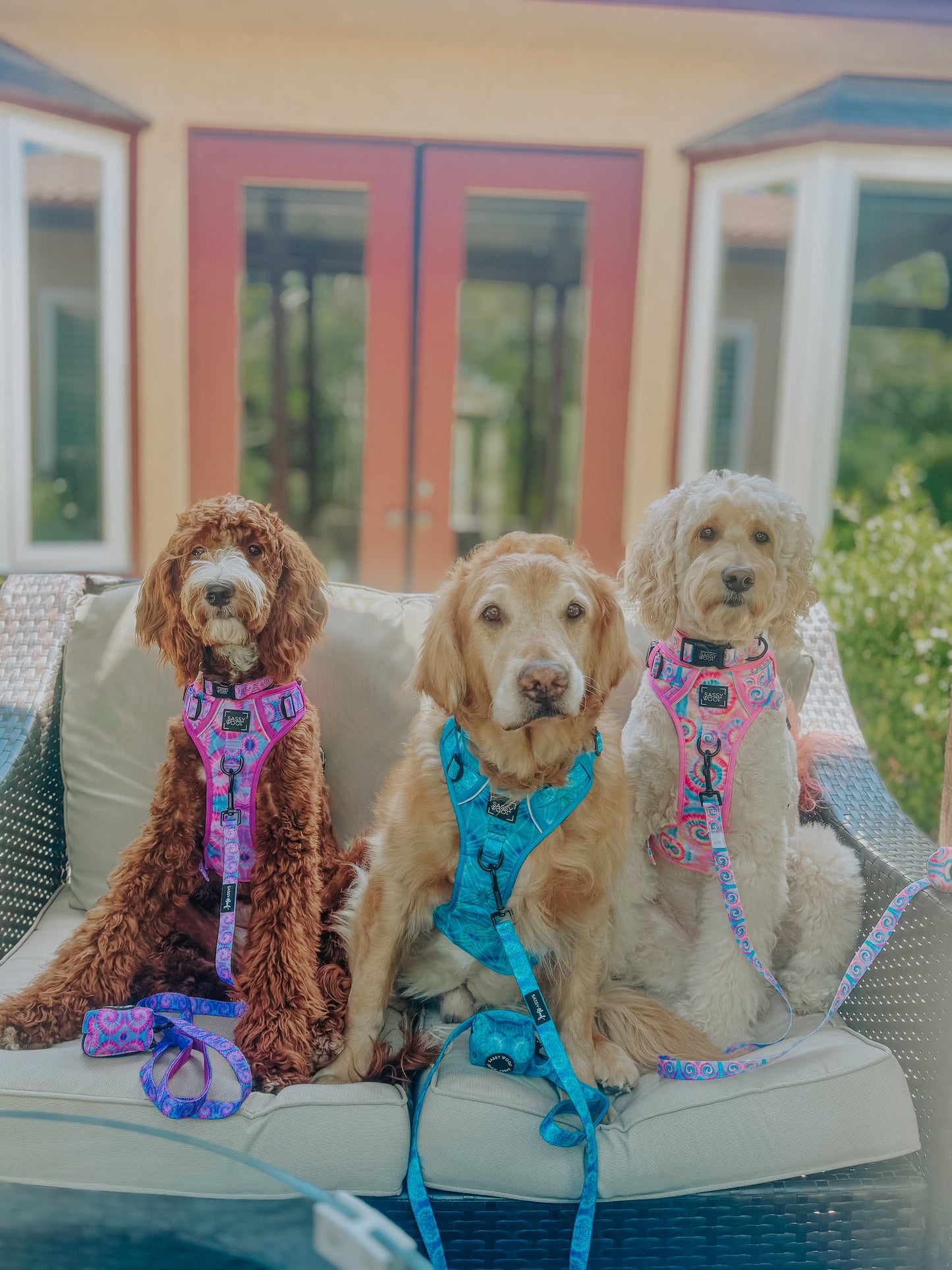 Dog Four Piece Bundle - Tropical Tides