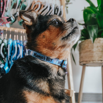 Dog Collar - Mama's Boy