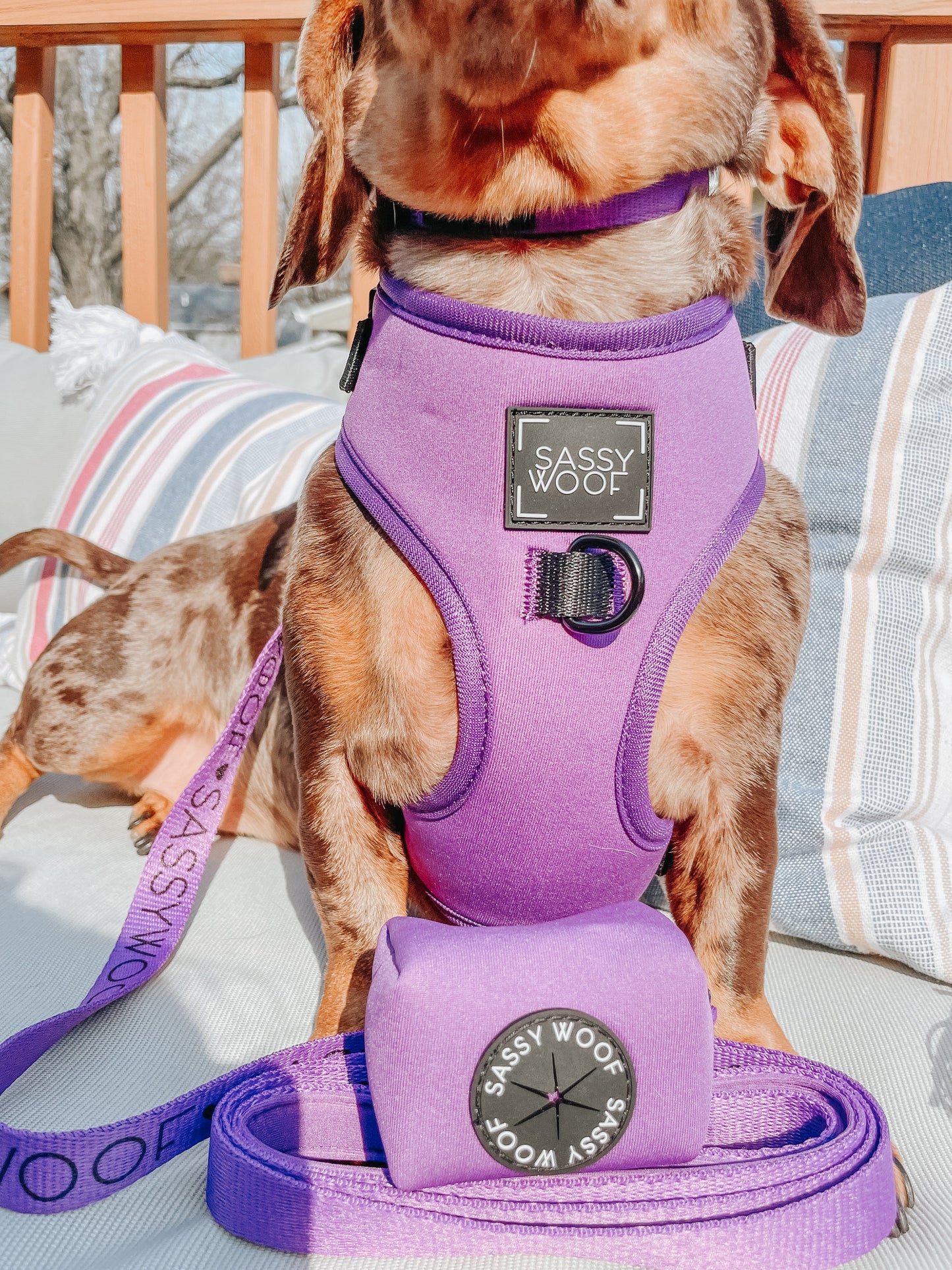 Dog Waste Bag Holder - Neon Purple