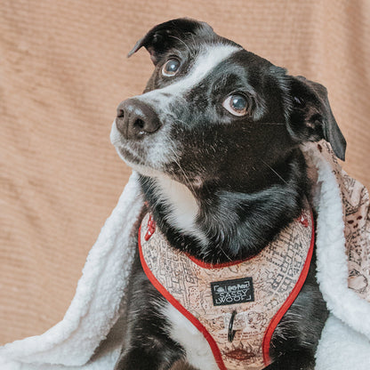 Pet Blanket - Harry Potter™ Marauder's Map™