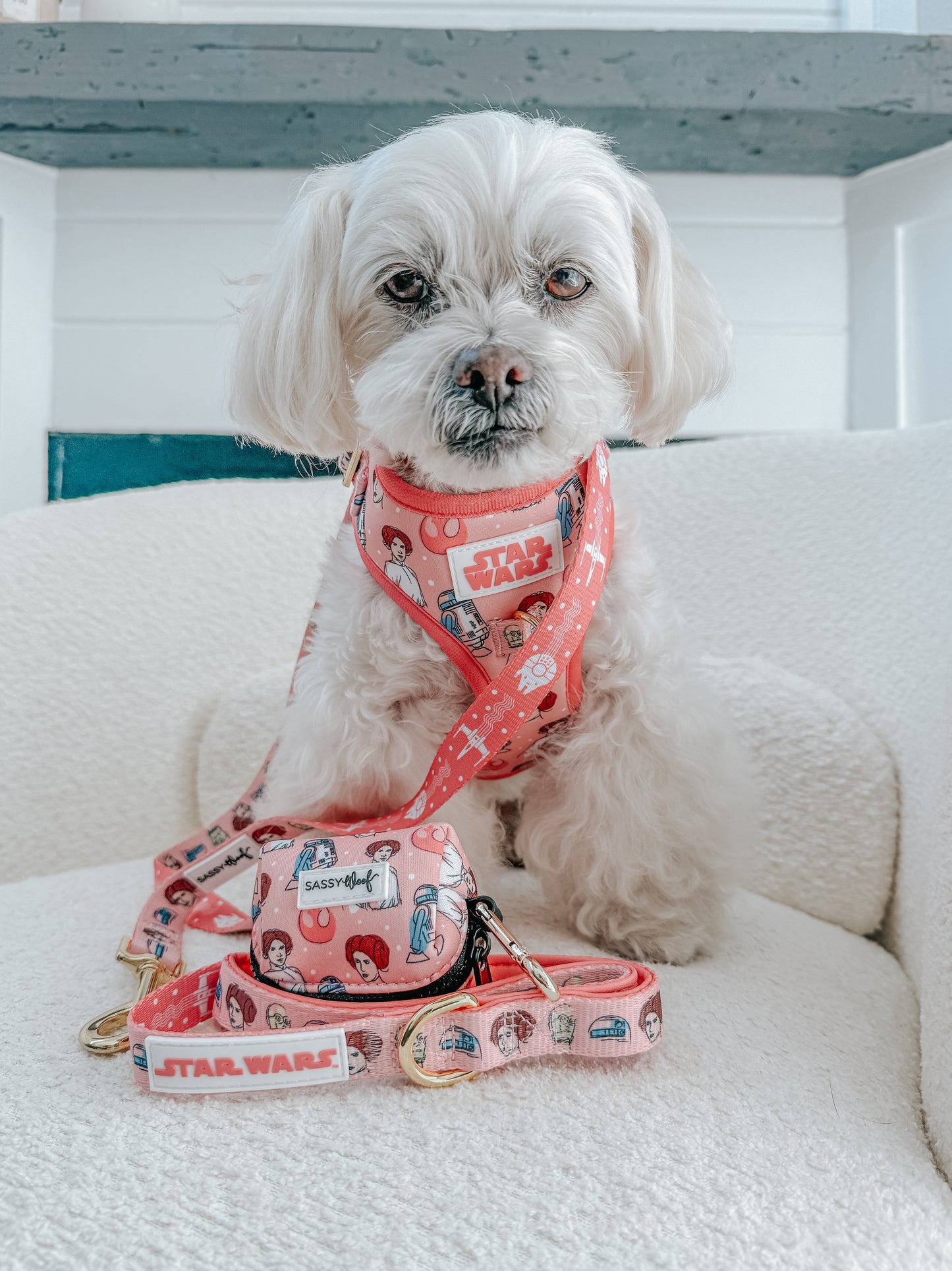 Dog Waste Bag Holder - STAR WARS™ Princess Leia