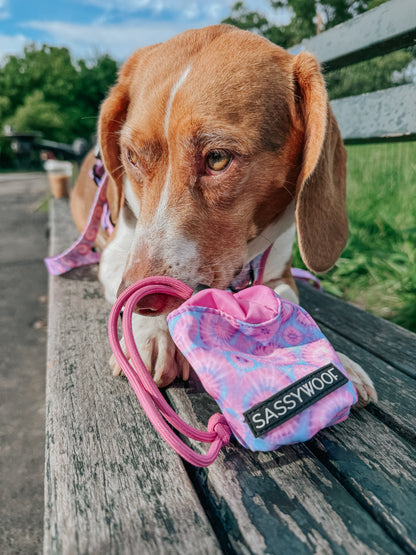 Treat Pouch - Purple Haze