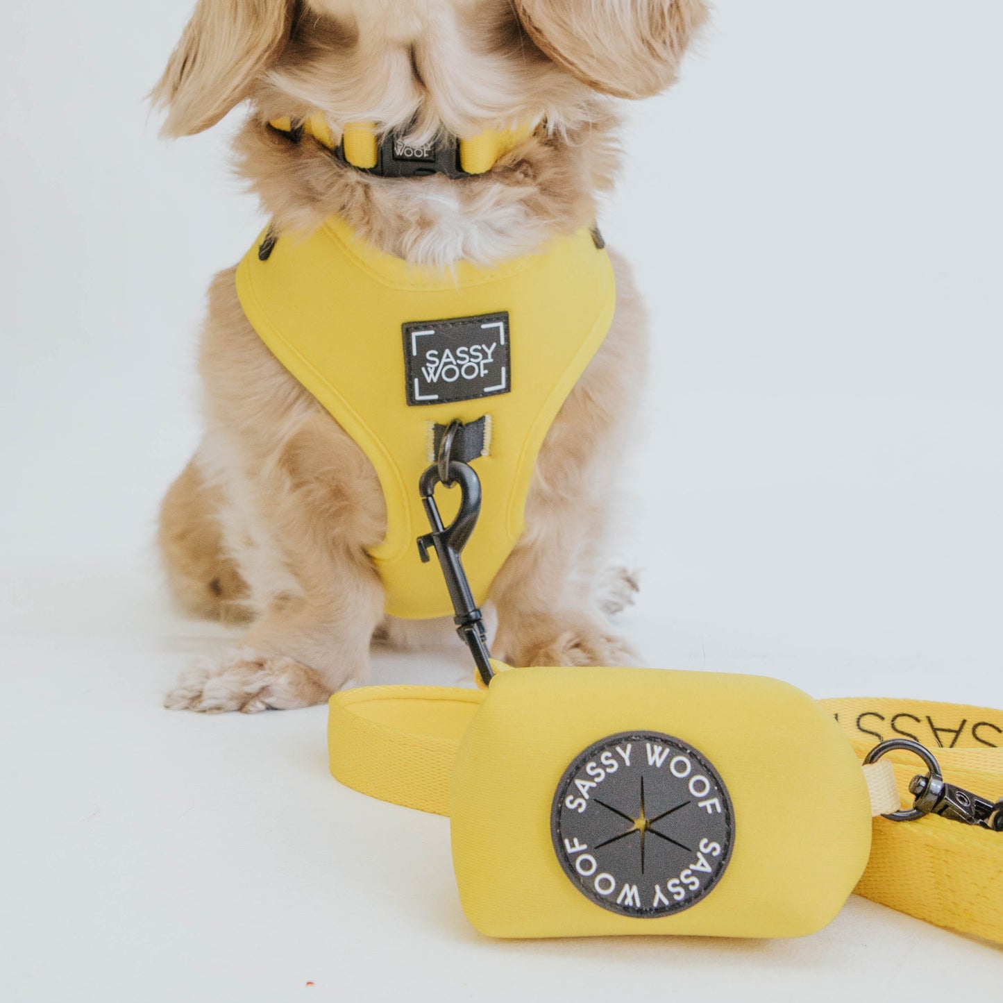 Dog Waste Bag Holder - Neon Yellow