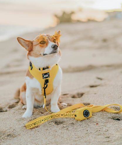 Dog Waste Bag Holder - Neon Yellow