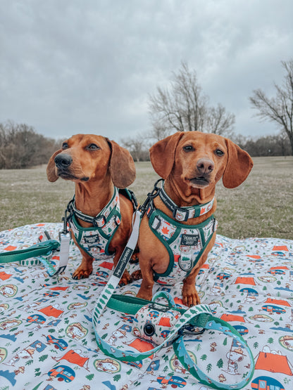 Dog Leash - Peanuts™ Beagle Scouts