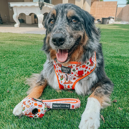 Dog Four Piece Bundle - Peanuts™ Harvest