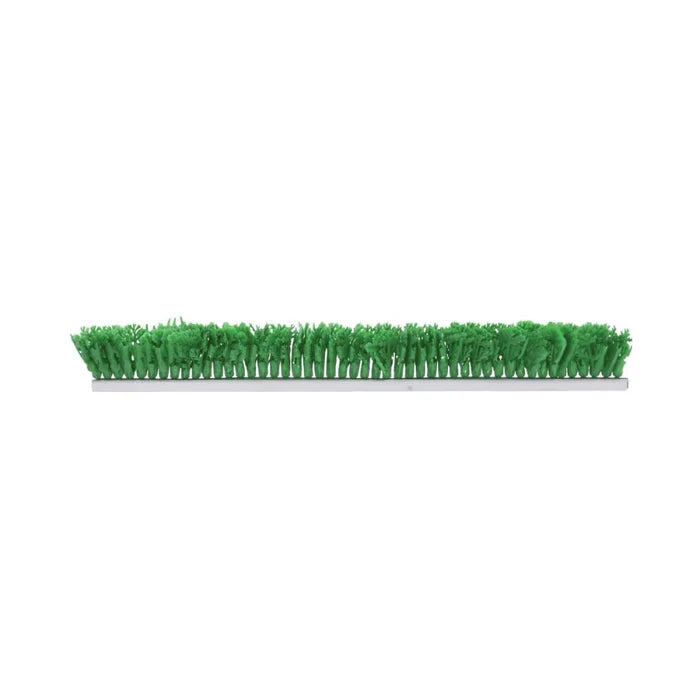 Parsley Fern Dividers Green - Wholesale Mexican Grocery Supplies