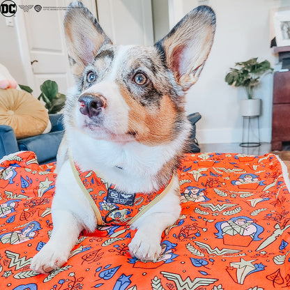 Pet Blanket - Wonder Woman™