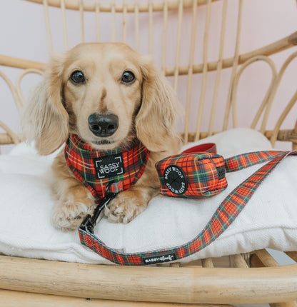 Dog Four Piece Bundle - Deck the Paws