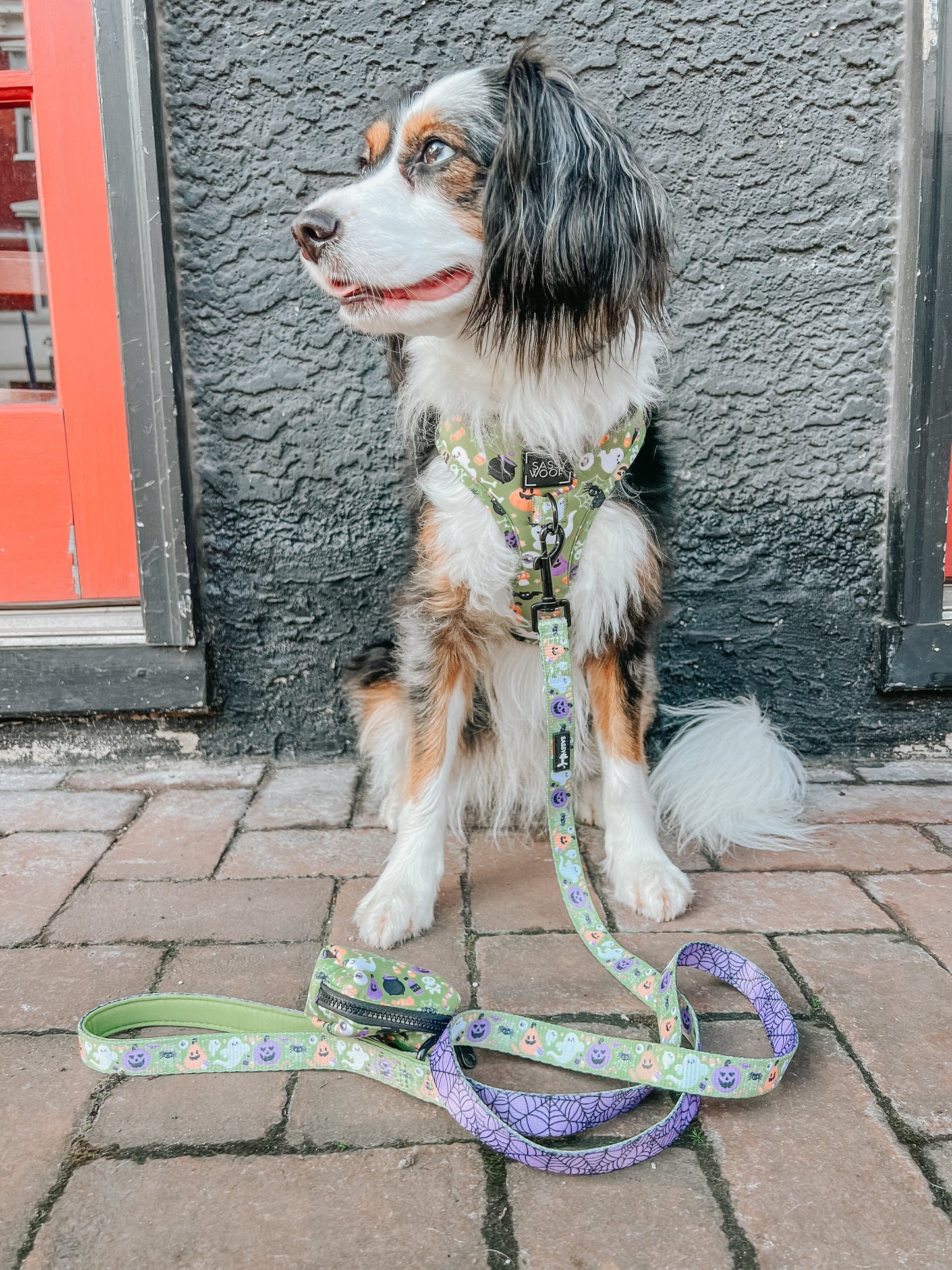 Dog Waste Bag Holder - Haunt Mess