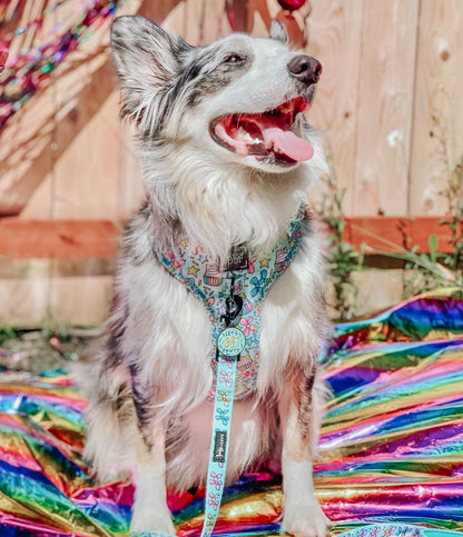 Dog Adjustable Harness - Pup Pup Hooray
