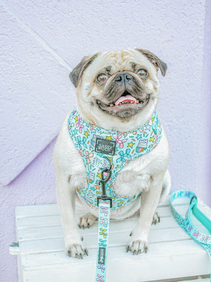Dog Adjustable Harness - Pup Pup Hooray